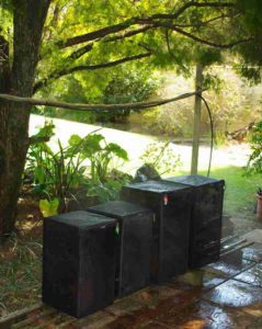 Montane chameleons kept in shade in South Africa